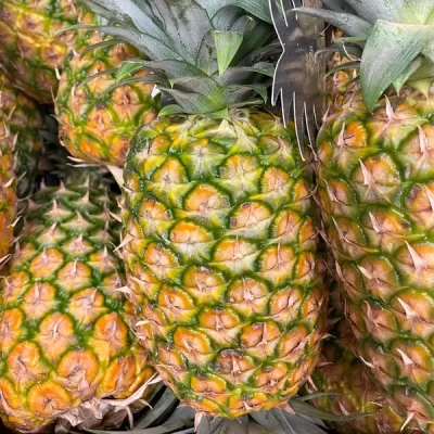 ananas-gold-ripe