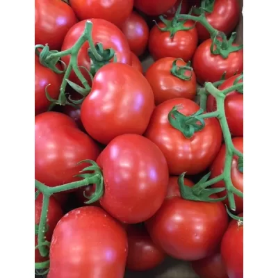pomodori-rossi-a-grappolo